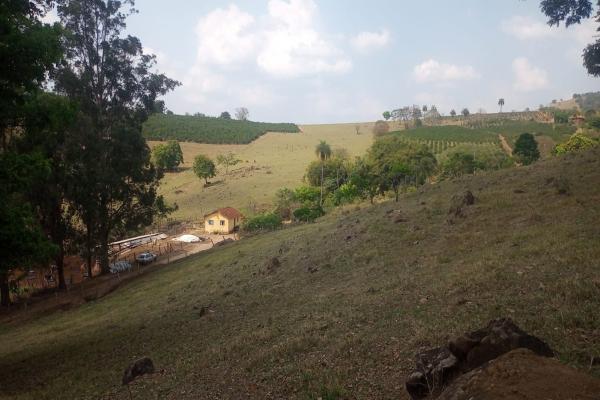 Este é ótimo, sítio para renda e lazer, para cultivo de café e pecuária, o que possibilita ao comprador ter renda diversificada, 4 alqueires, casa, açude grande, cocheira, localizado a apenas 700 metros da rodovia asfaltada Andradas/Ibitiúra. - foto 7